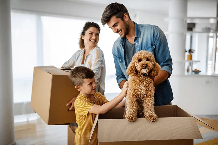 Moving with Pets: A Stress-Free Guide for You