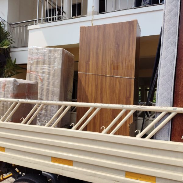 WhatsApp Image 2026-02-10 at 11.58.24 AM