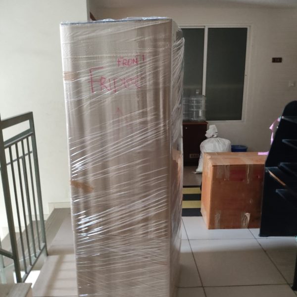 WhatsApp Image 2026-02-10 at 11.58.47 AM