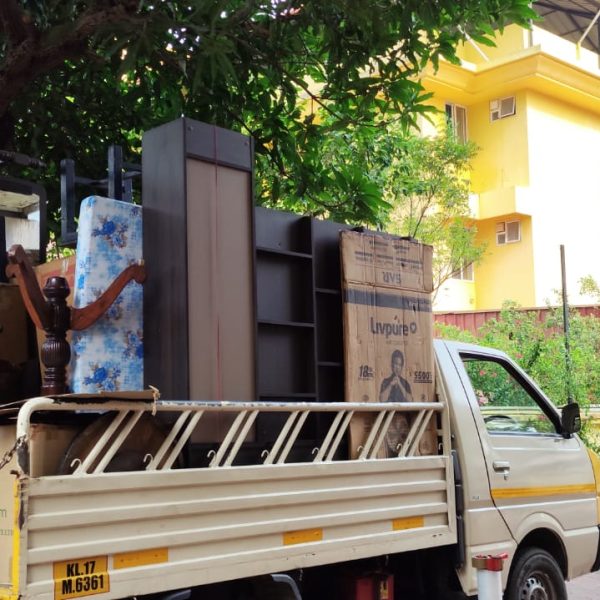 WhatsApp Image 2026-02-10 at 12.00.30 PM